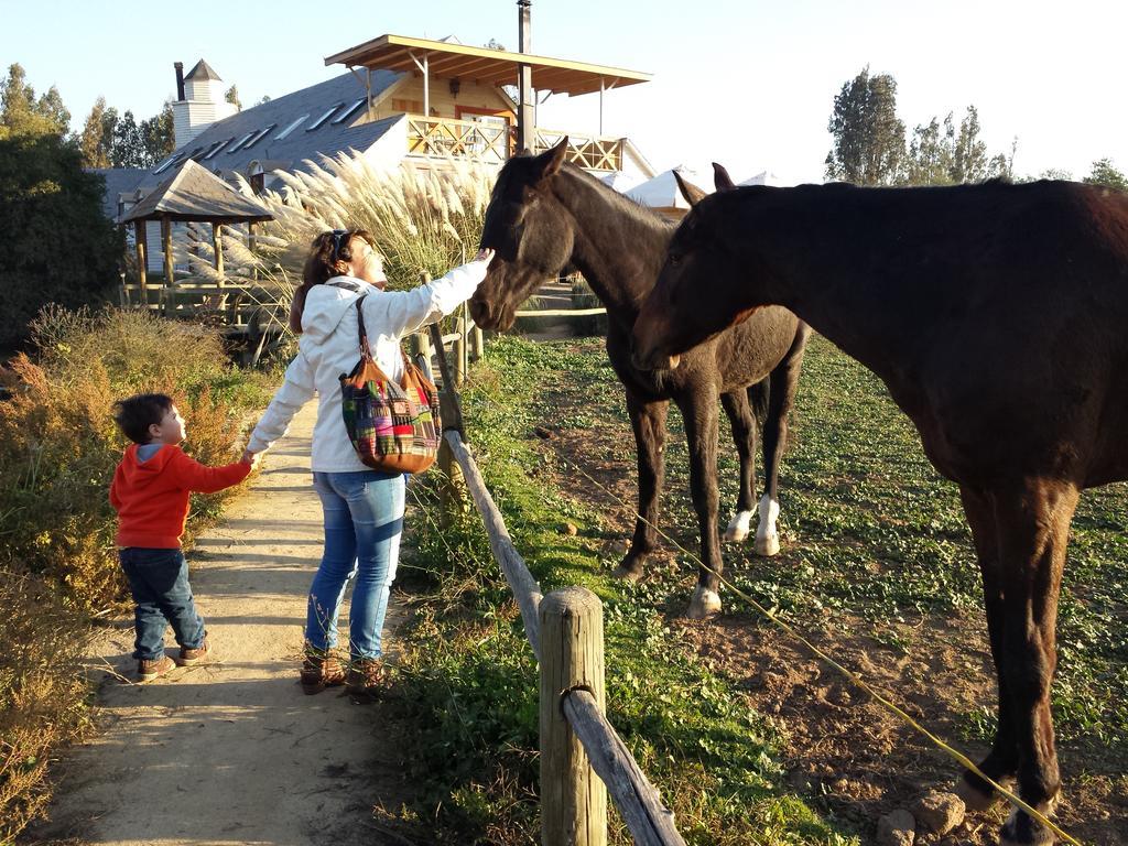 Hotel Boutique La Caballeriza Limache Zewnętrze zdjęcie